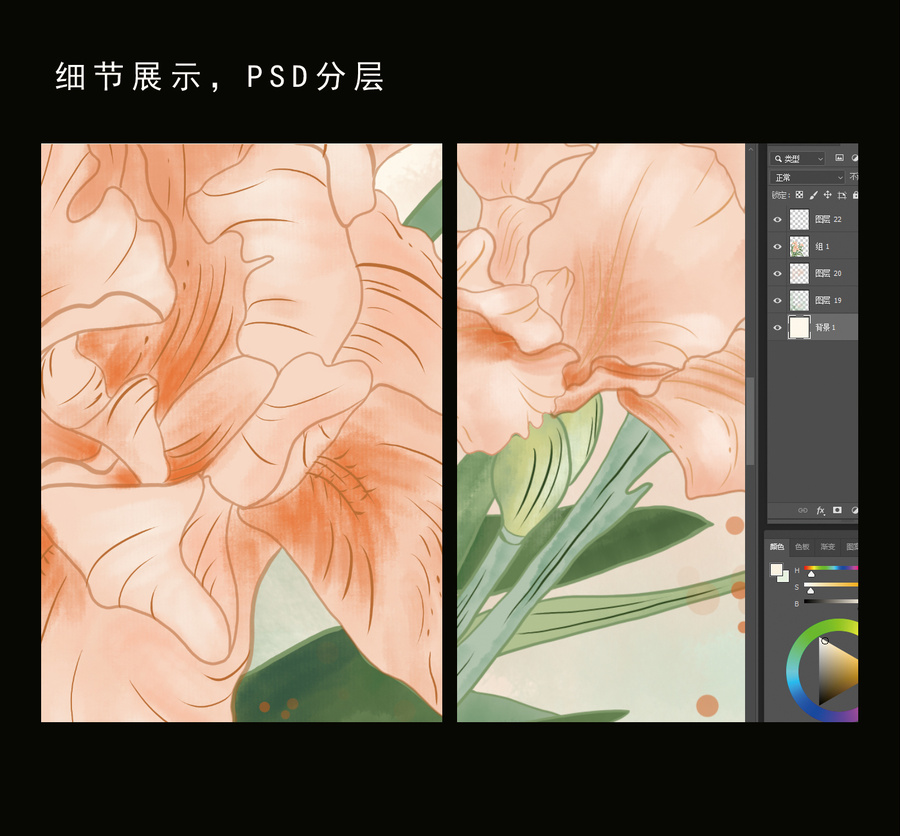 鳶尾花水彩插畫