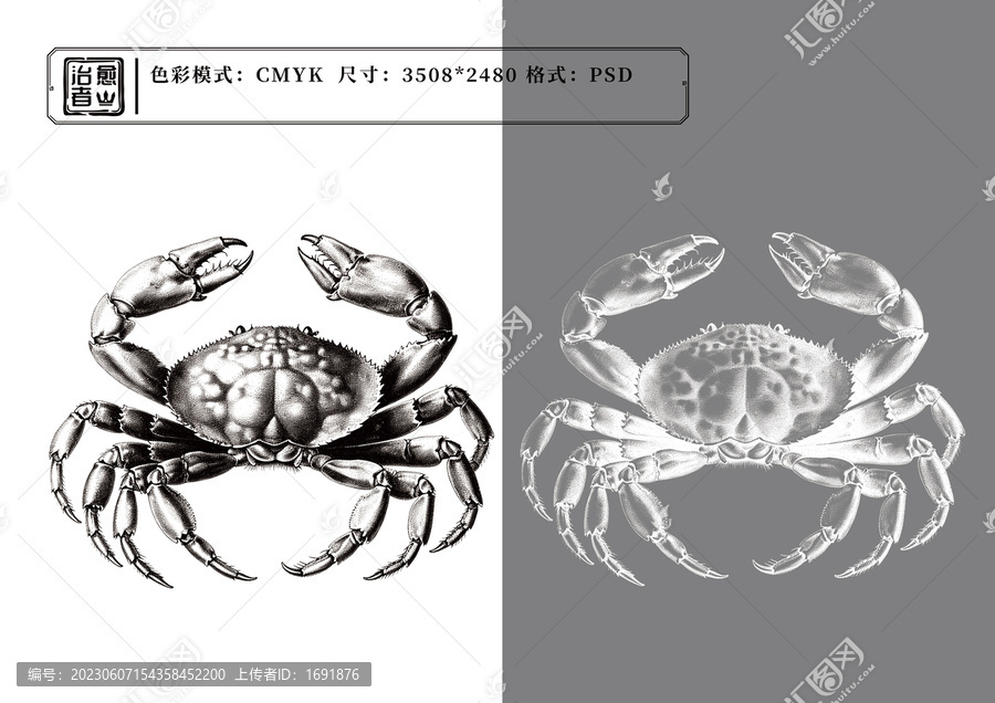 螃蟹插畫線稿