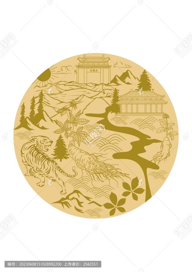 長(zhǎng)白山人參矢量插畫(huà)