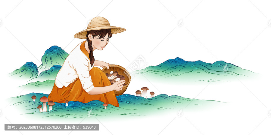采野生菌