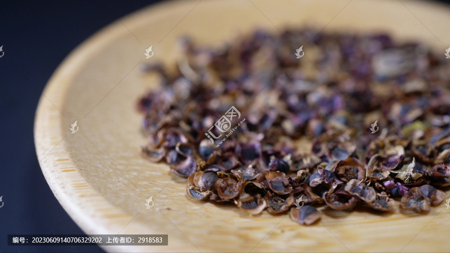 金鸡菊种子四季鲜花种子