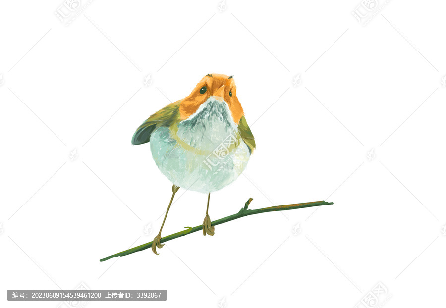 可愛小鳥