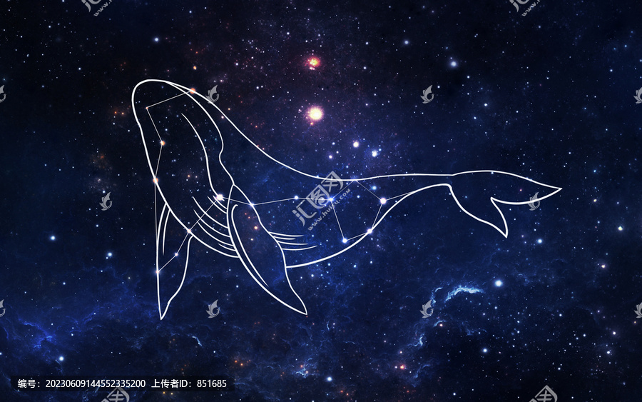 鯨魚天空北斗七星