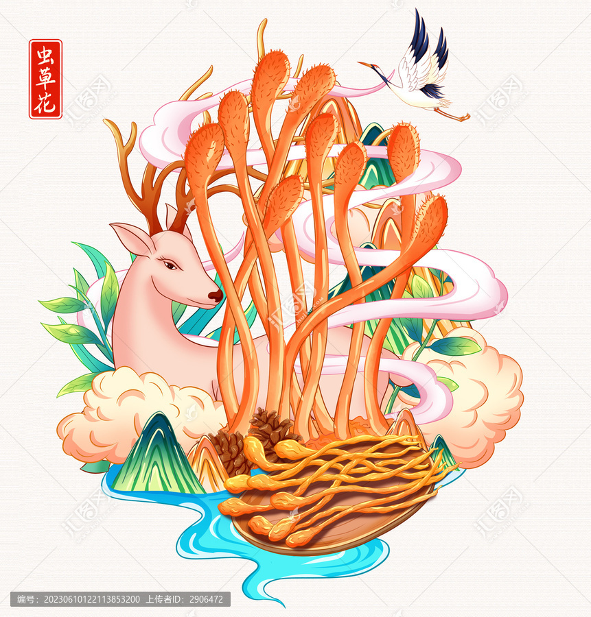 蟲草花插畫手繪