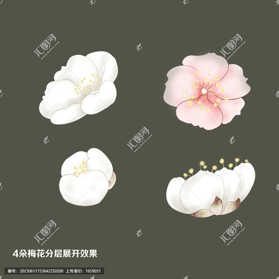 手繪梅花