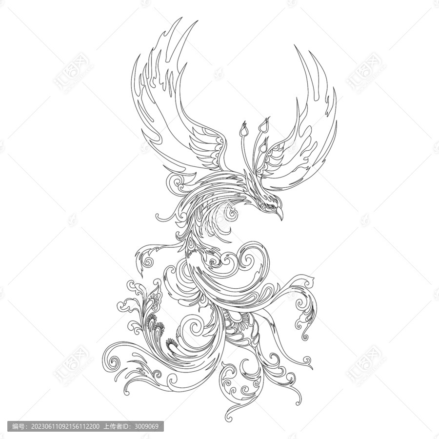 鳳凰朱雀矢量線稿