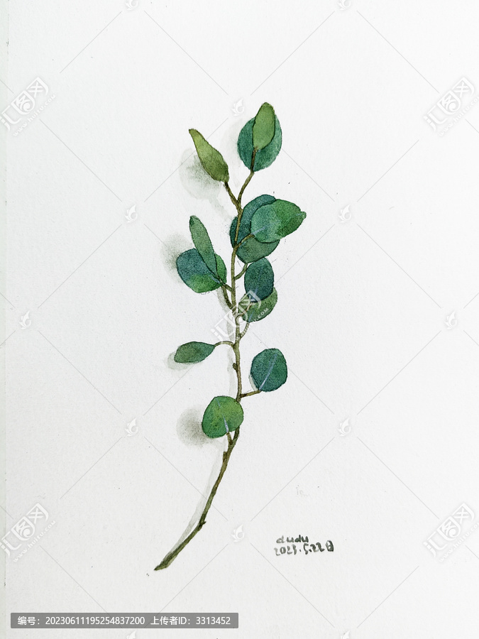 手繪植物