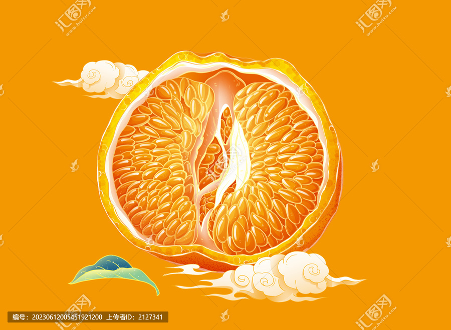 耙耙柑手繪插畫