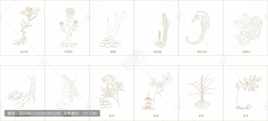 中藥材線稿