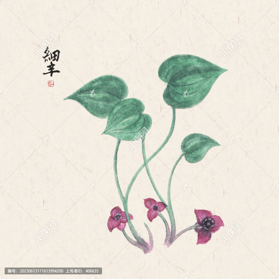 中藥材細(xì)辛