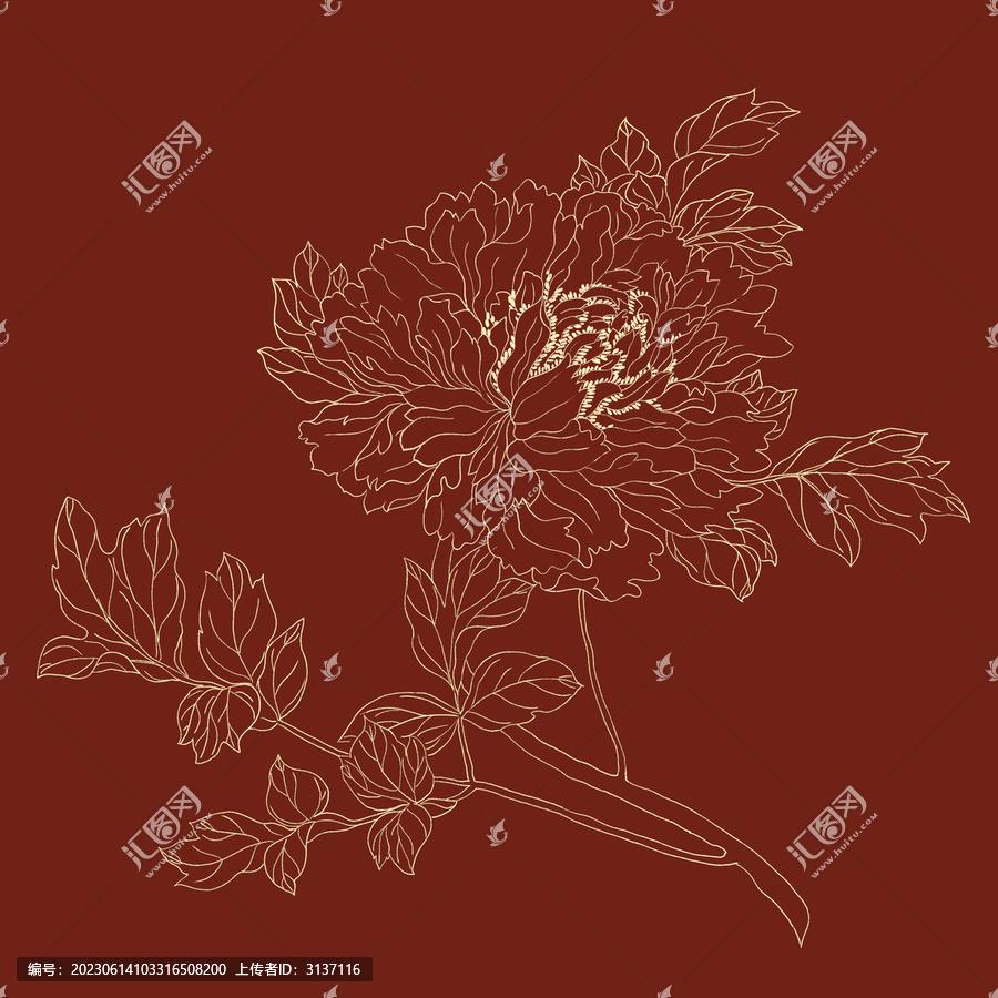 線描牡丹