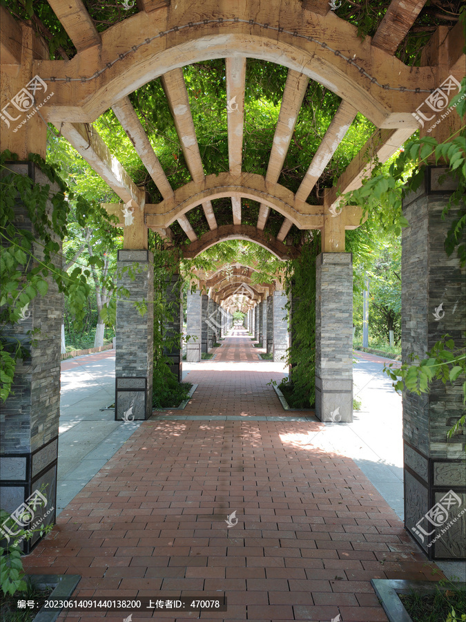 隧道式绿荫长廊