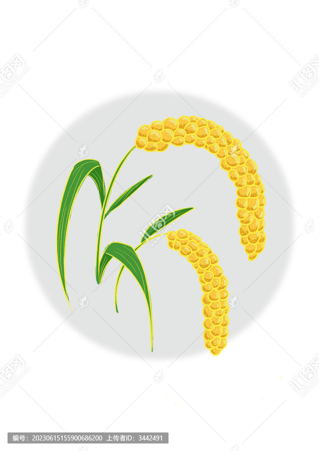 黃小米插畫