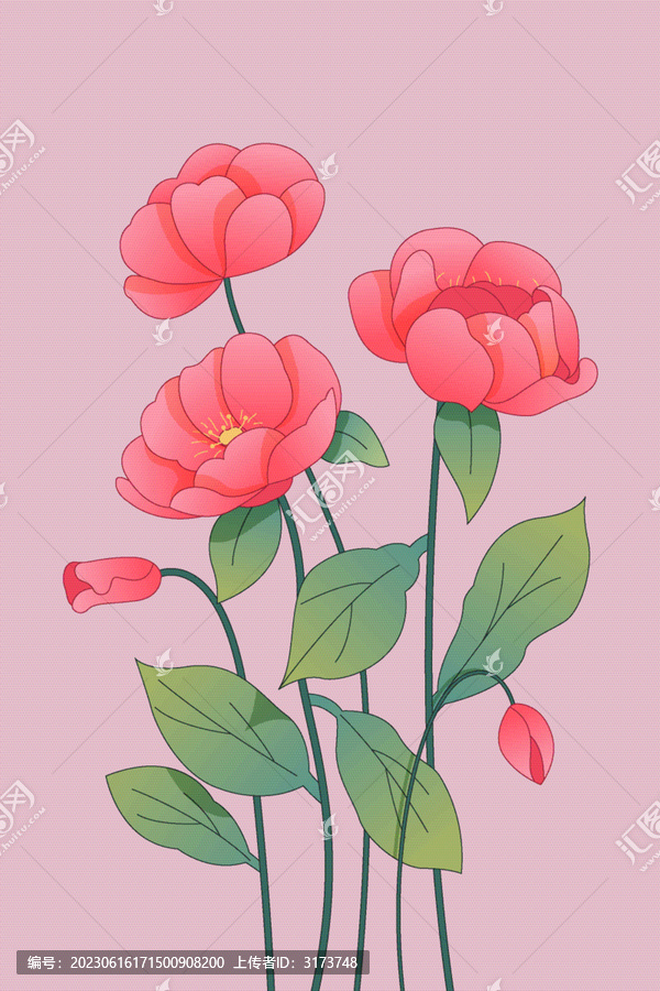 虞美人花束矢量插畫(huà)