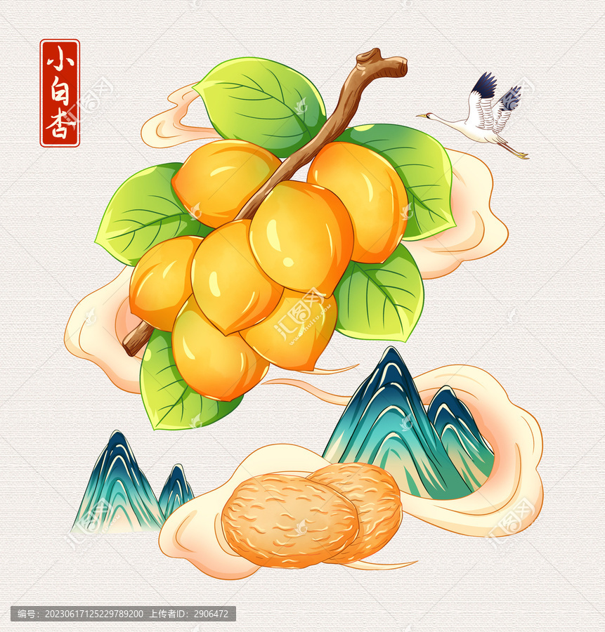 小白杏插畫手繪