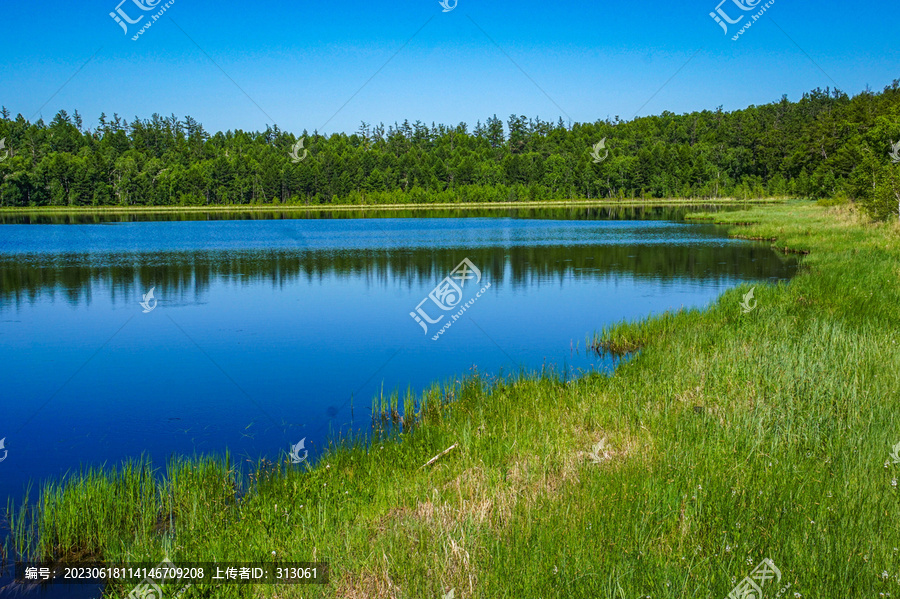 阿尔山杜鹃湖