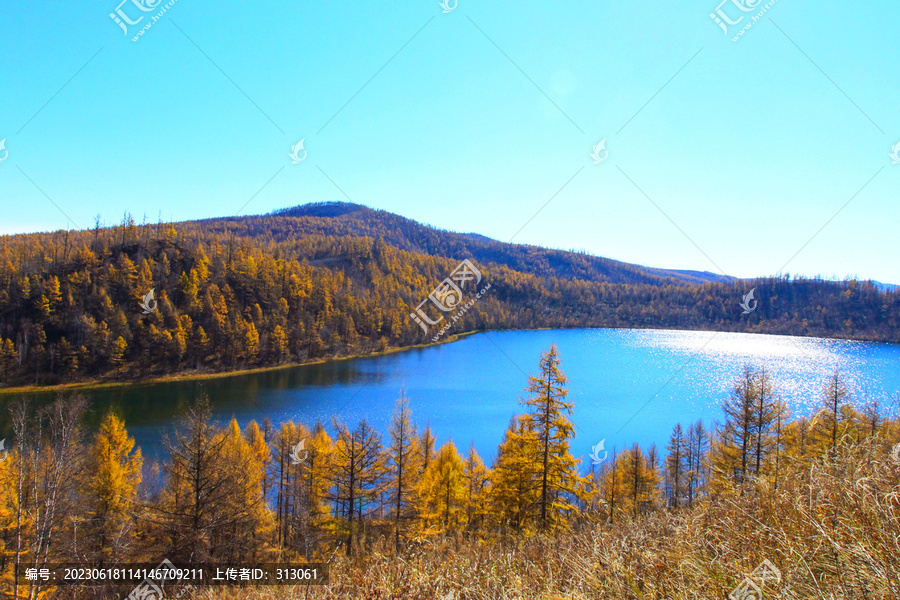 阿尔山秋景