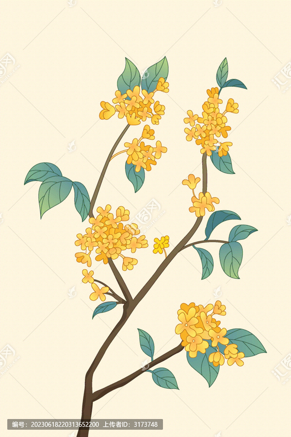 一枝盛開的桂花國潮插畫