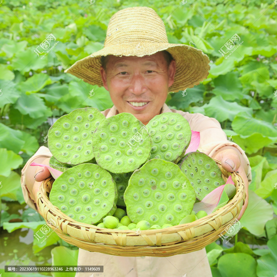 洪湖莲蓬子