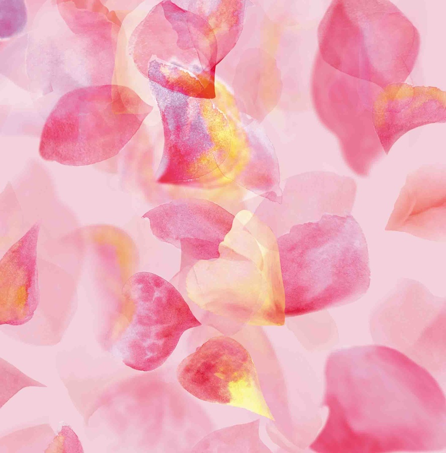 粉底紅色花
