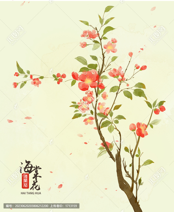 海棠花