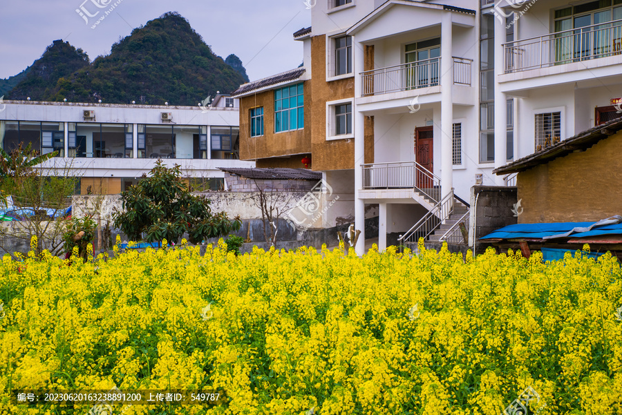 山村春景