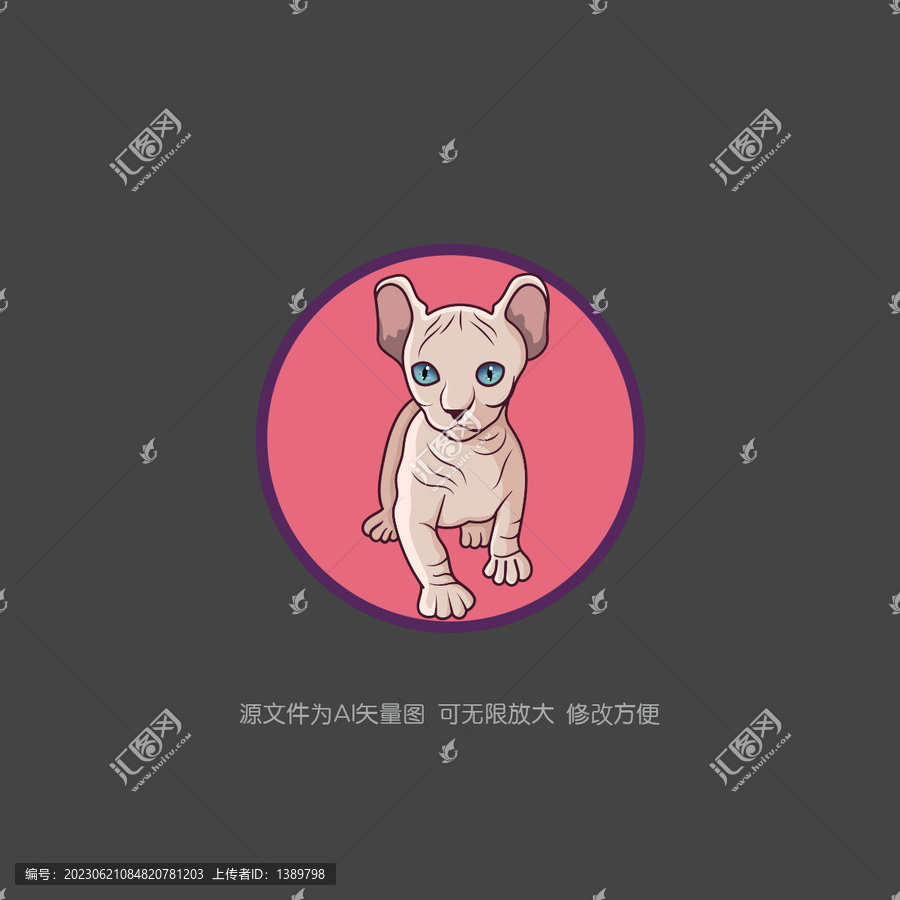 斯芬克斯貓