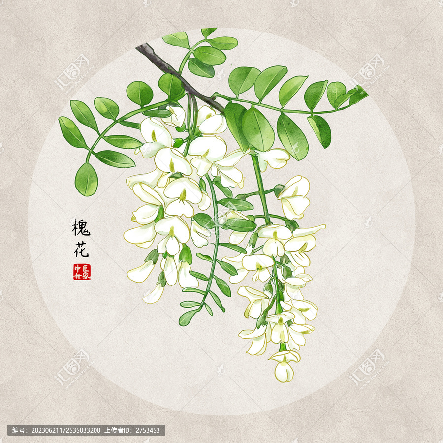 槐花