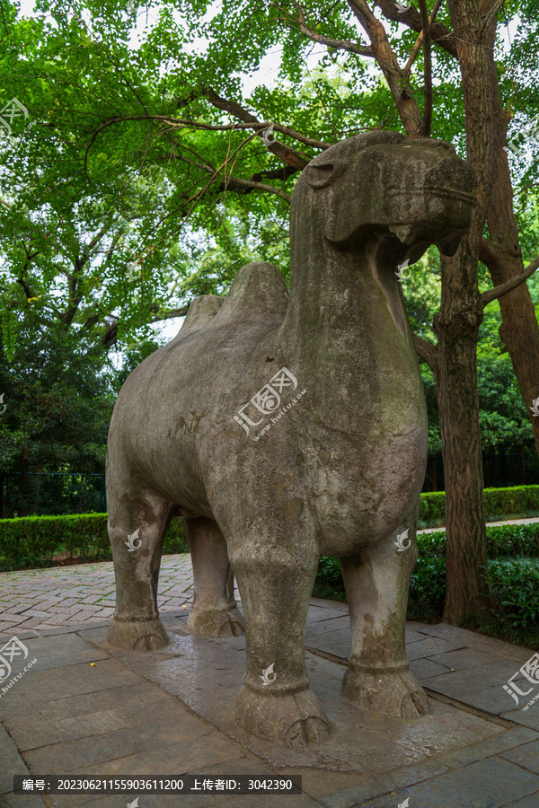 南京明孝陵石象路