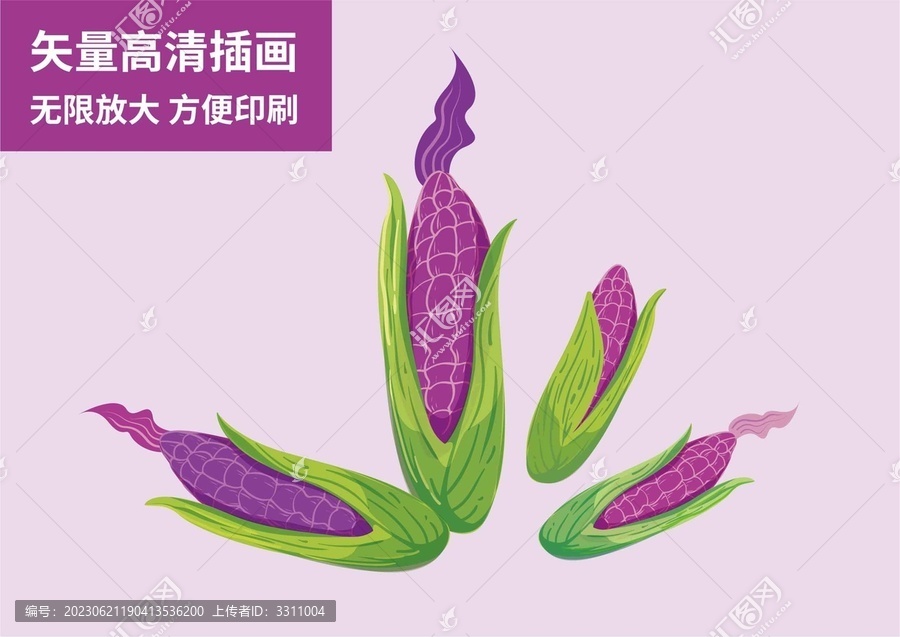 紫玉米黑糯包谷手繪扁平插畫