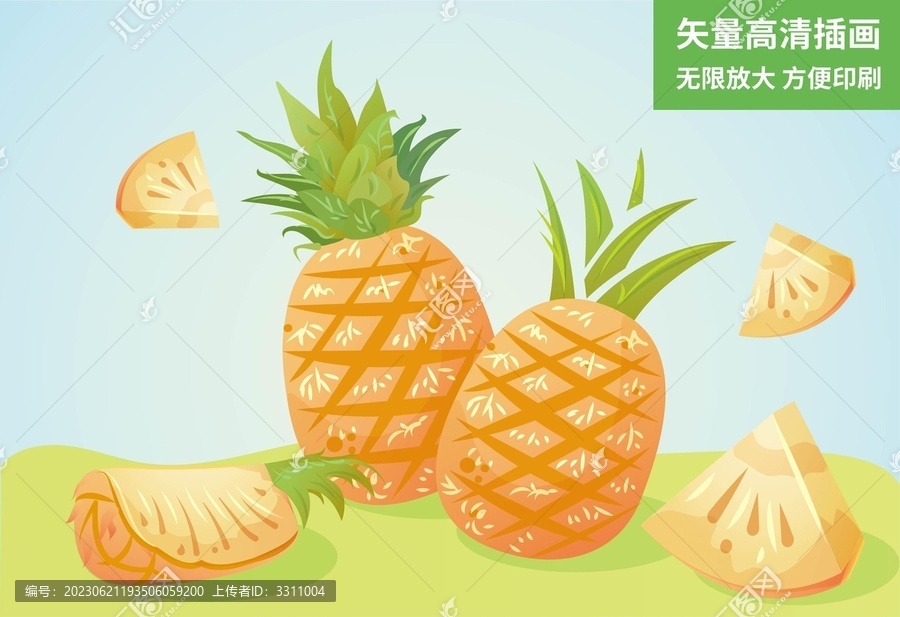 菠蘿切開的鳳梨包裝矢量手繪