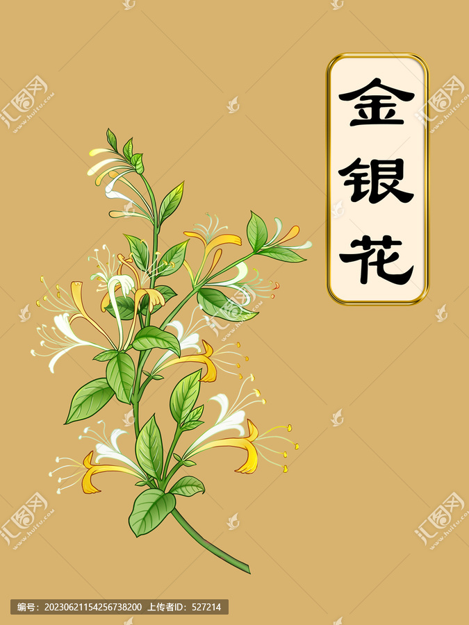 金銀花