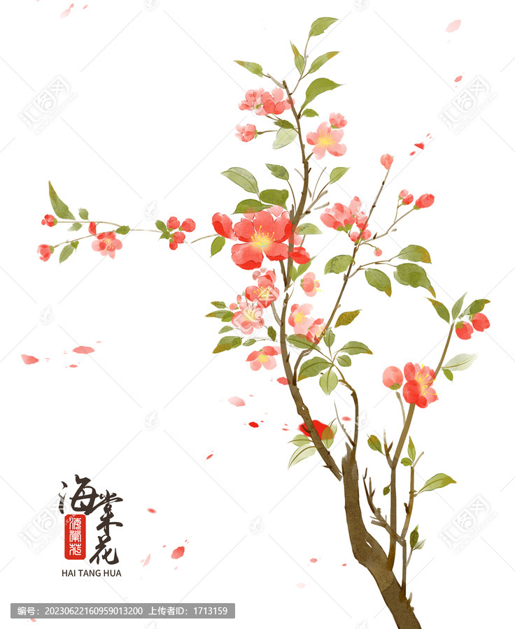 海棠花