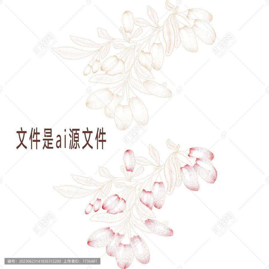 手繪枸杞版畫(huà)
