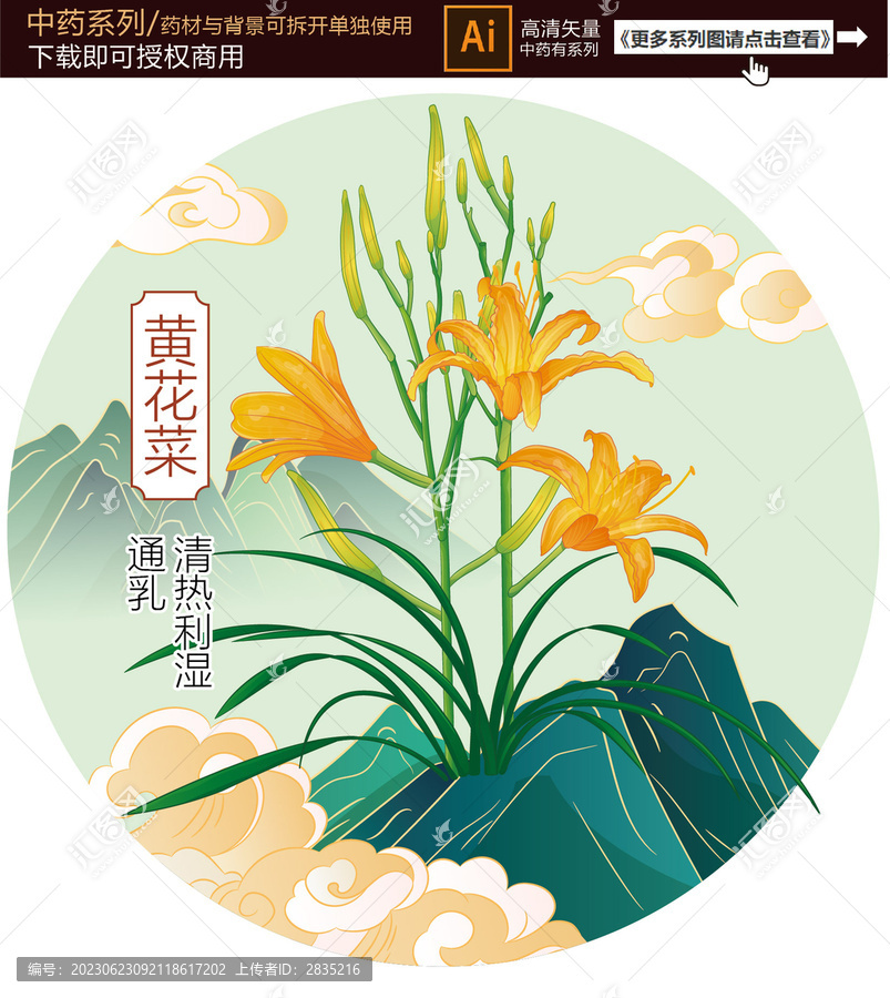 黃花菜