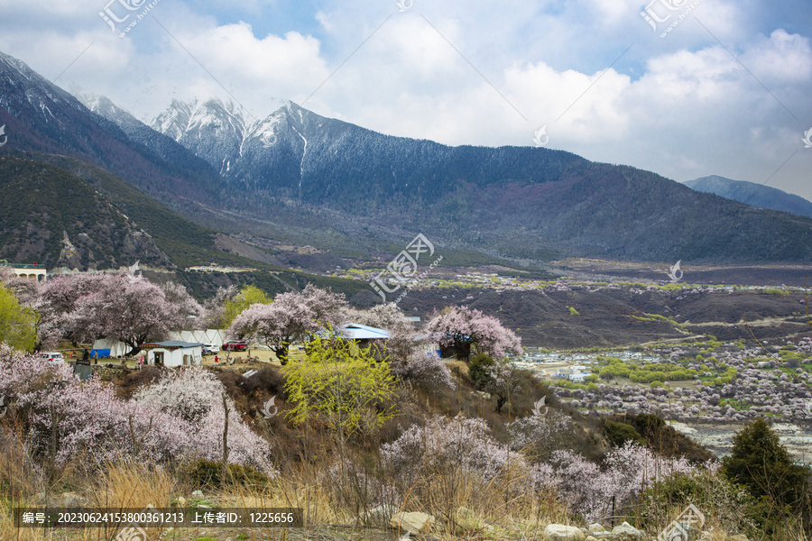 雅鲁藏布江峡谷风光64