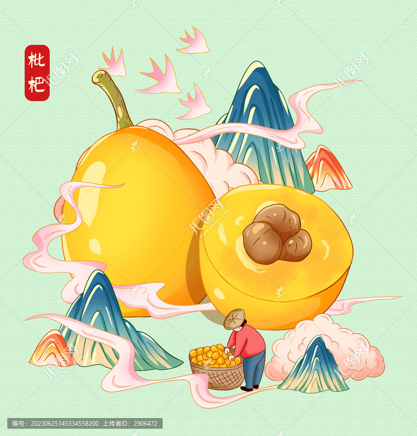 枇杷插畫(huà)手繪