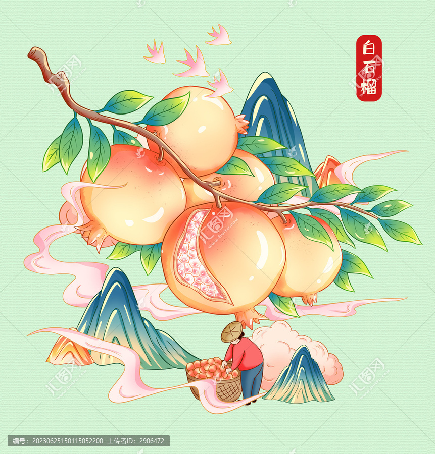 石榴插畫
