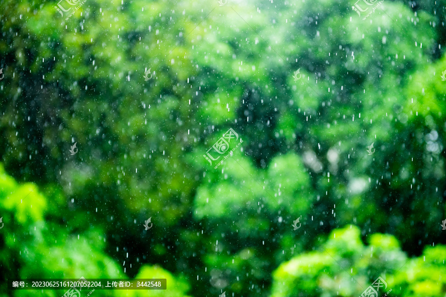 春雨