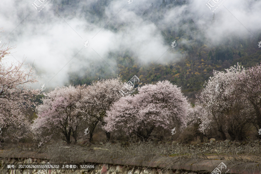 川藏南线路上风景53