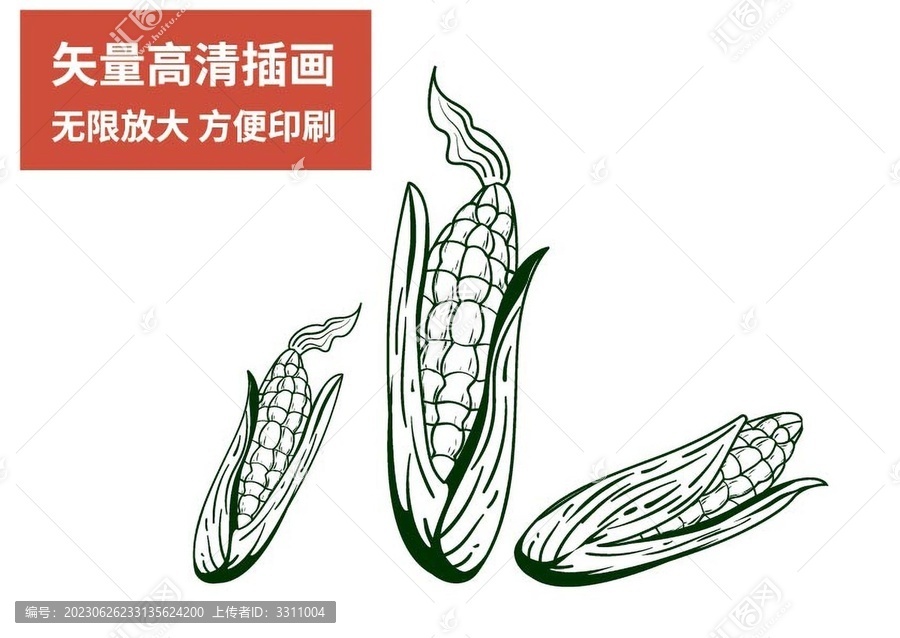 玉米包谷手绘线稿扁平矢量插画