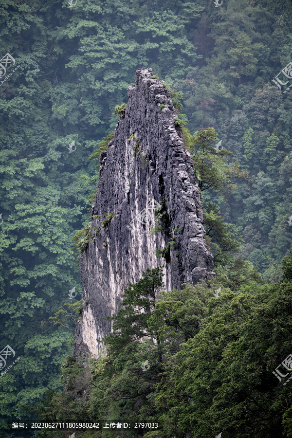 武陵山大峡谷