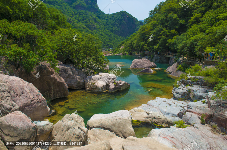 王莽岭风光