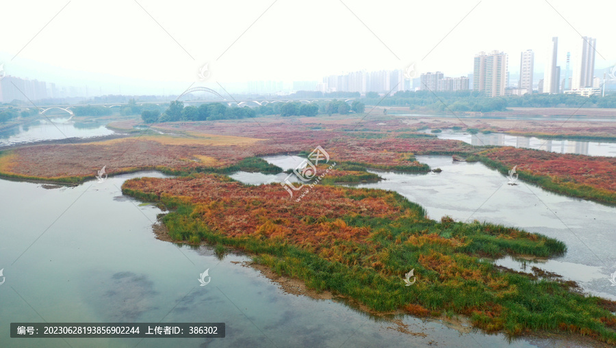 洛阳洛河湿地