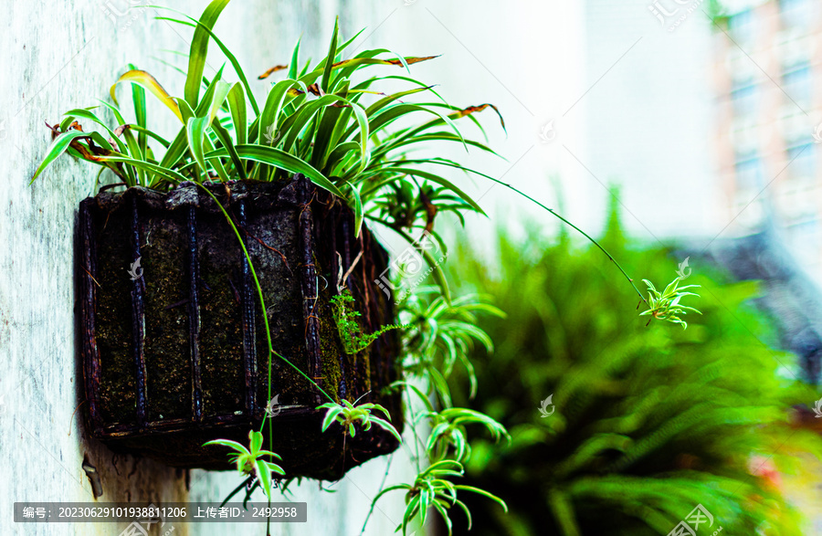 植物墙装饰园林