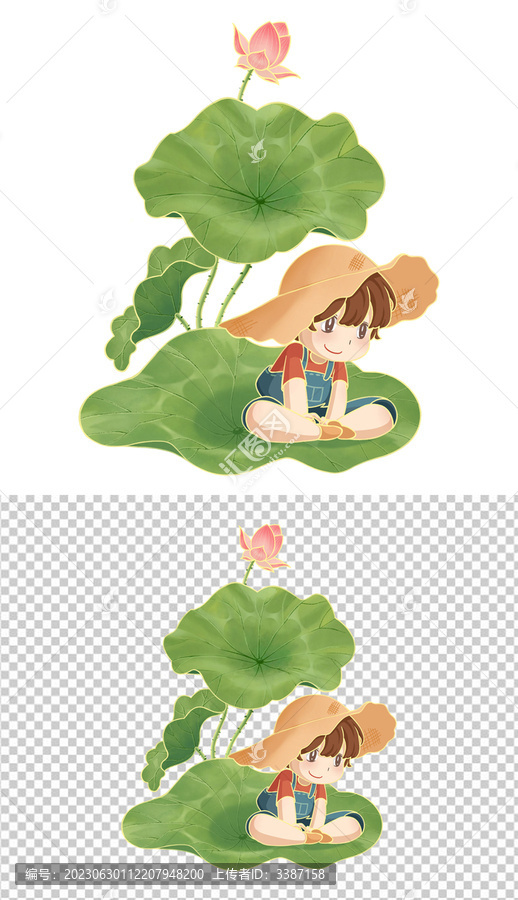 草帽小男孩與荷葉荷花
