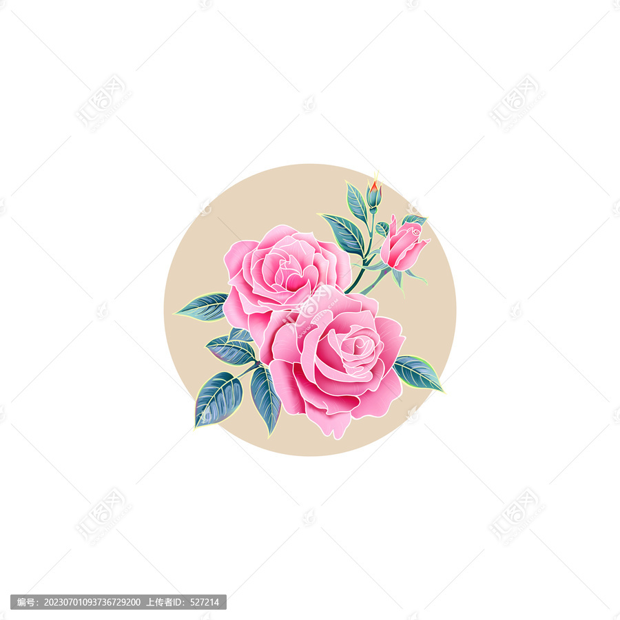 玫瑰花