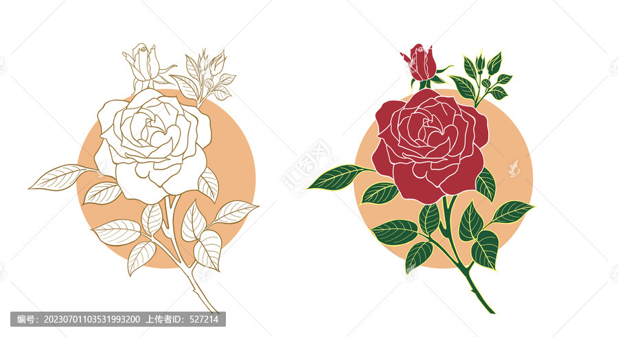 玫瑰花