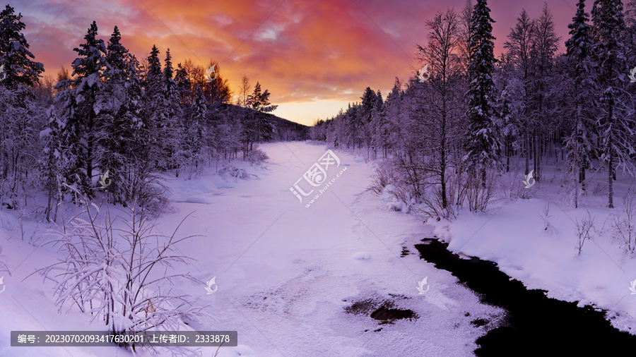 森林雪景