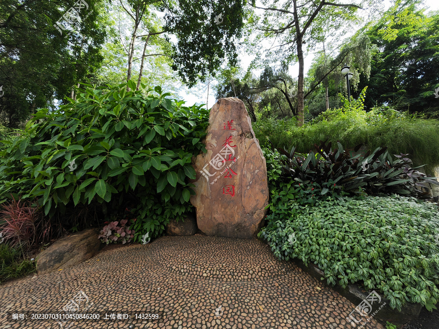 深圳莲花山公园